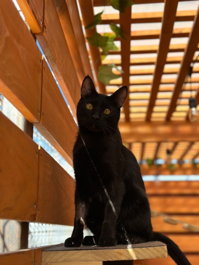 Imagen de WhatsApp 2025-01-04 a las 10.43.30_ca683829(1)